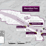 Fireweed overview