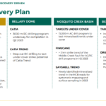 Novo discovery plan